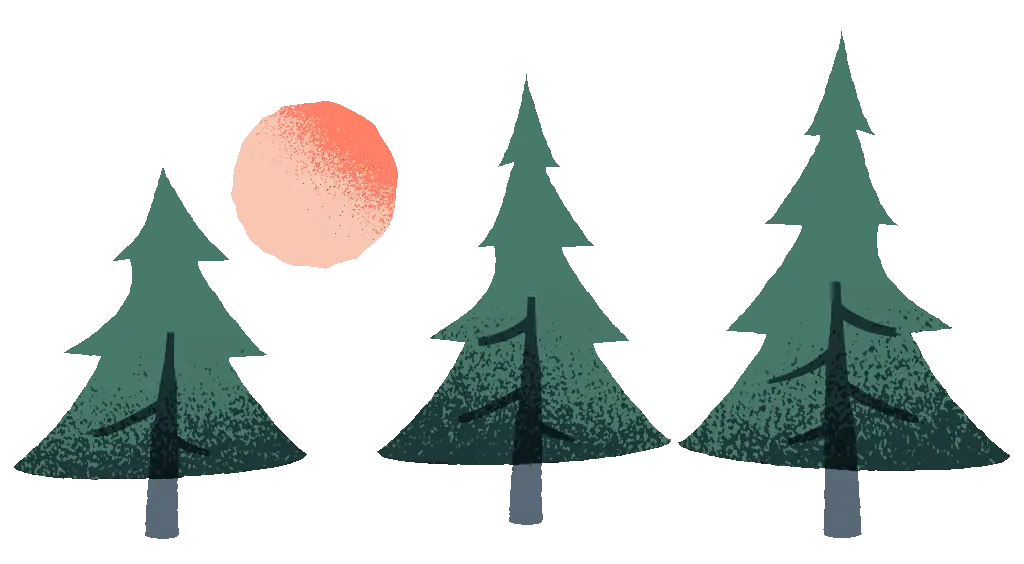 Trees with moon in sky